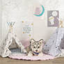 Teepee for pets. 100% handmade.