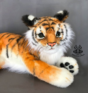 Tiger cub animation