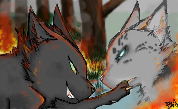 Hollyleaf- Set fire to the ash