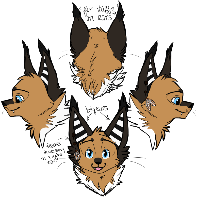 Caracal Ref.