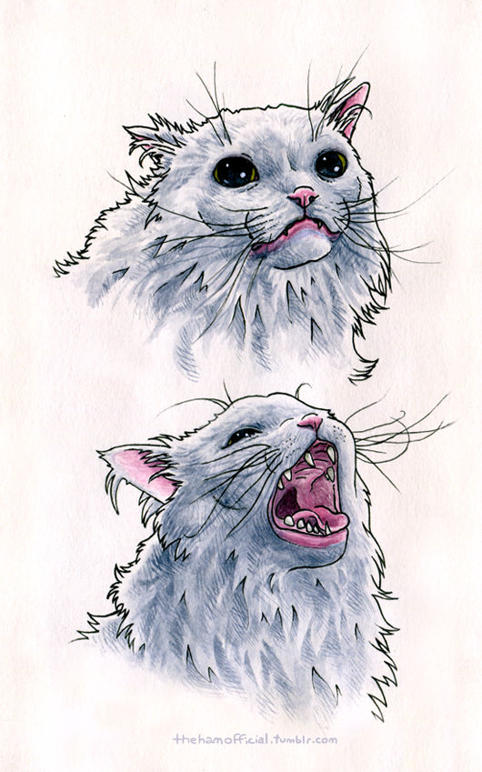 Thurston Waffles By Thehamofficial On Deviantart Thurston Waffles By Thehamofficial On Deviantart