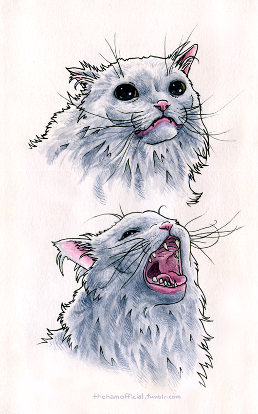 Thurston Waffles By Thehamofficial On Deviantart Thurston Waffles By Thehamofficial On Deviantart