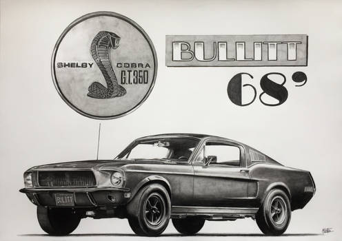Shelby GT350 drawing