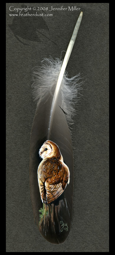 Barn Owl painted feather