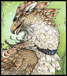 Filigree Gryphon by Nambroth
