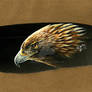 Golden Eagle Feather