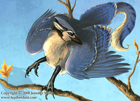 Blue Jay Gryphon