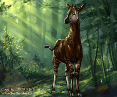 Okapi