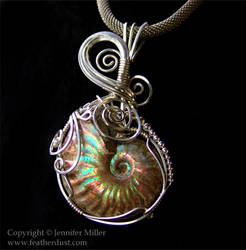 Tidal Swirls Ammonite