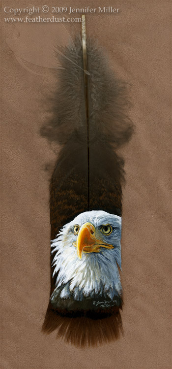 Bald Eagle Portrait