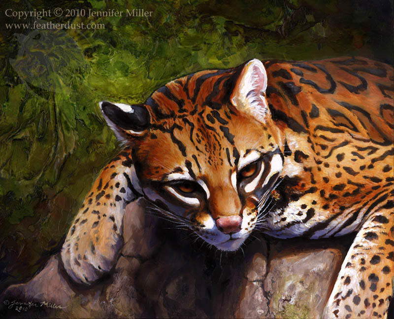 Abstract Ocelot Ocelot by Nambroth on DeviantArt