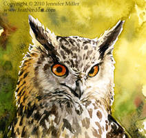 Happy Eagle Owl