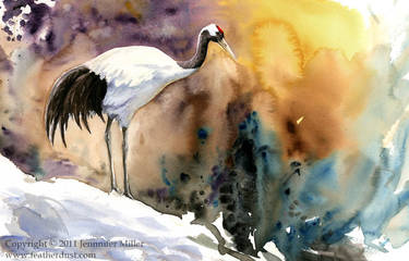 Red-Crowned Crane -- color --