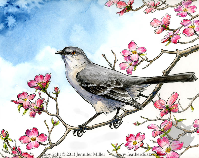 Mockingbird and Dogwood