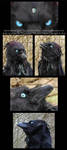 Raven Mask by Nambroth