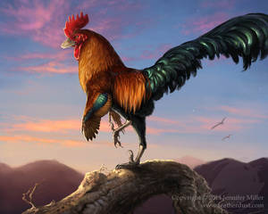 Velocirooster Mongoliensis