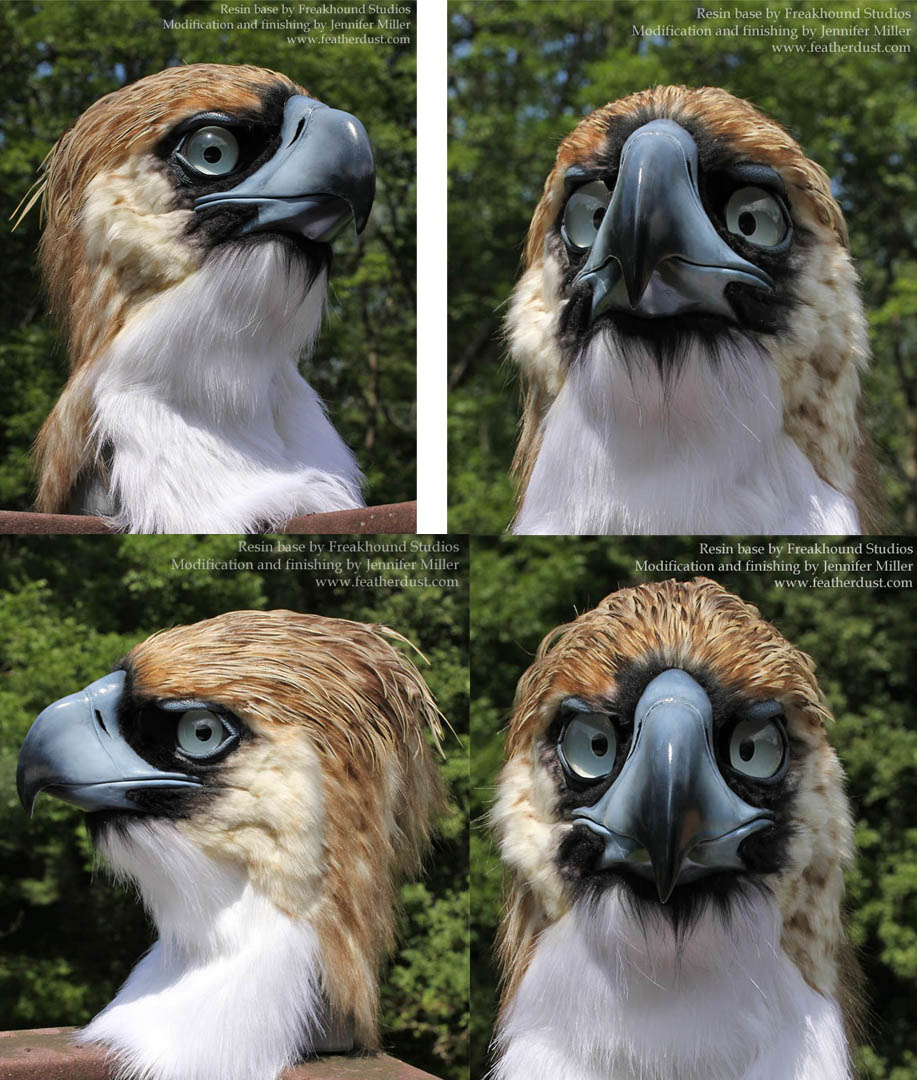 Philippine Eagle Mask