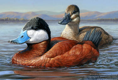 2015-2016 Federal Duck Stamp