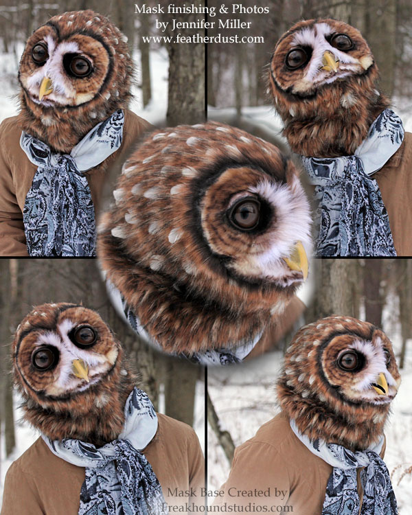 Metis - Northern Spotted Owl Mask