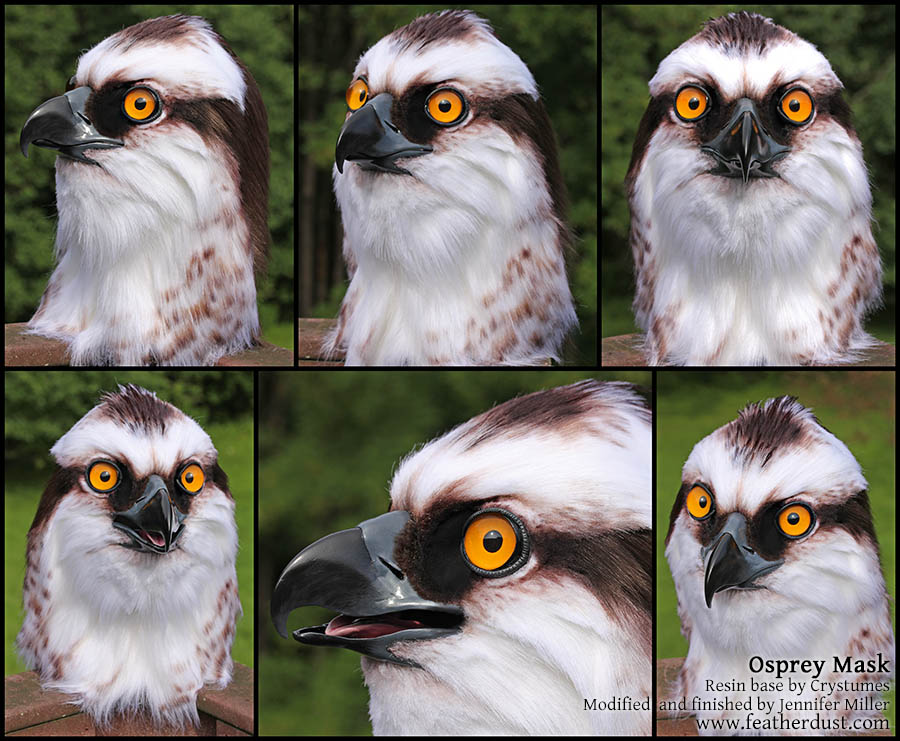 Lett, the Osprey (Mask)