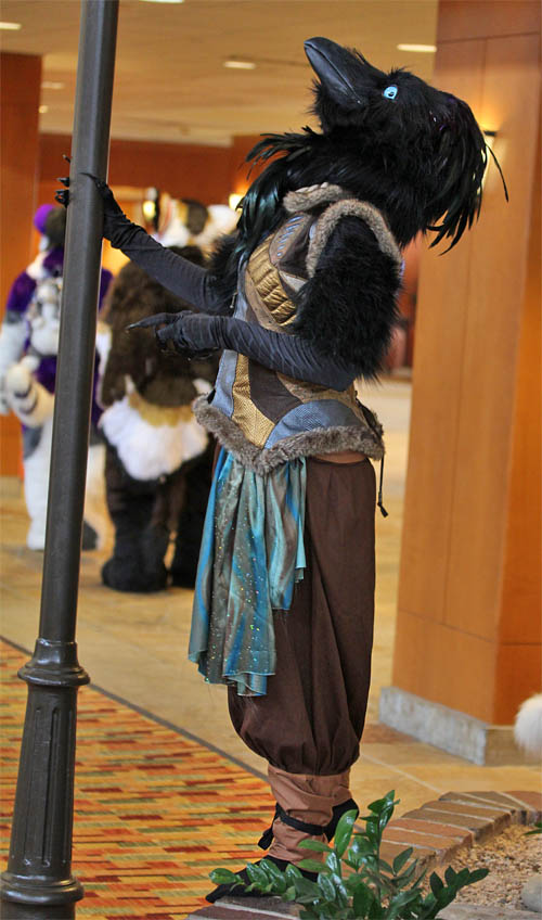 Bird Costumes at IOC 2018 by Nambroth on DeviantArt