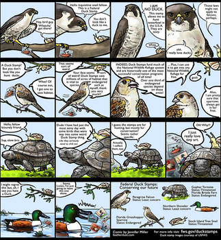 Duck Stamp Comic by Nambroth