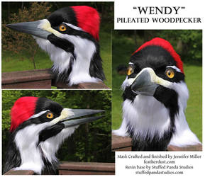 Wendy, the Pileated Woodpecker Mask
