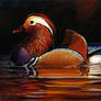 Mandarin Duck I