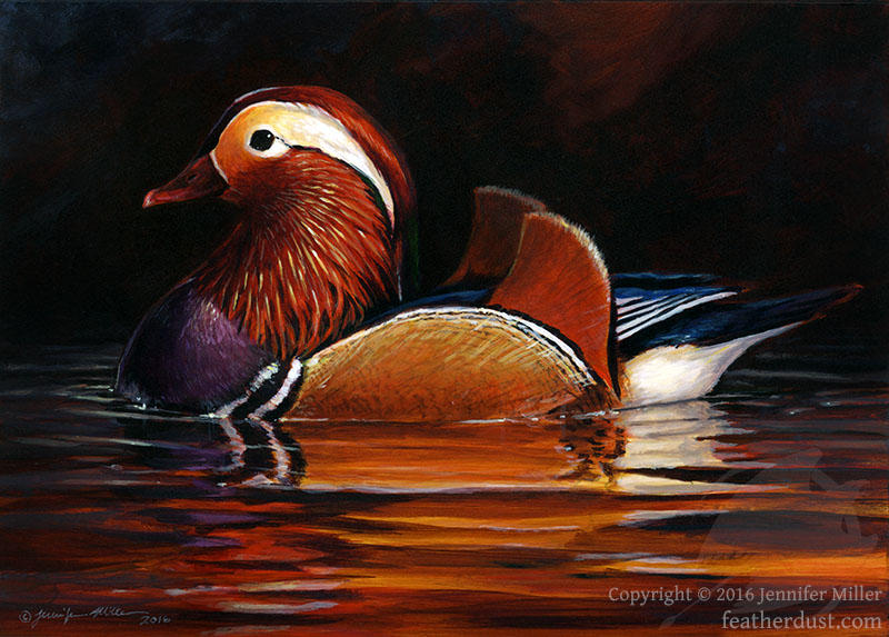 Mandarin Duck I by Nambroth