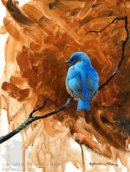 Bluebird Study