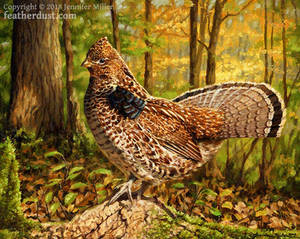 Autumn Grouse