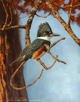 Autumn Queen: Belted Kingfisher