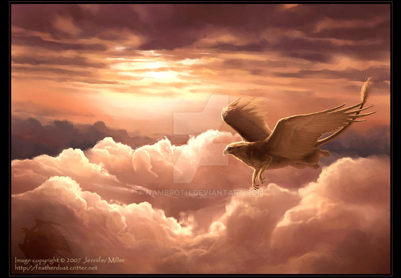 Крылатый орел. Птица в небе фэнтези. Грифон летит. Птицы в облаках. Орел в небе.