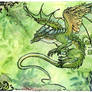 Green Dragon Vernation