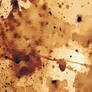 coffee 13