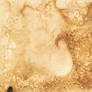 Salt Paper Stock 4