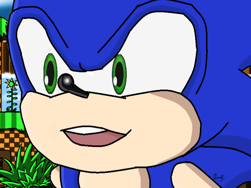 Sonic The Hedgehog in Green Hill Zone