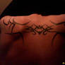tribal tattoo back