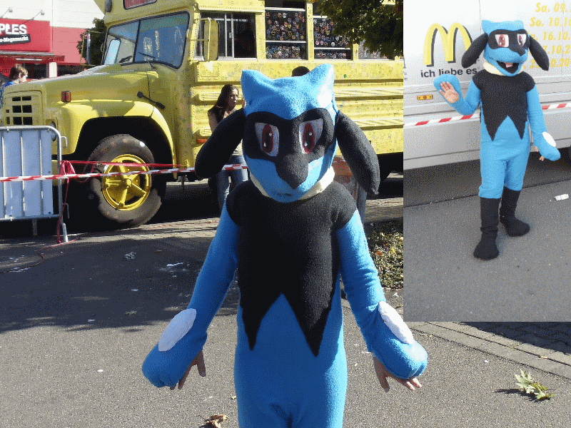 RIOLU cosplay costume by shadowhatesomochao on DeviantArt