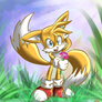 CE: Tails the fox