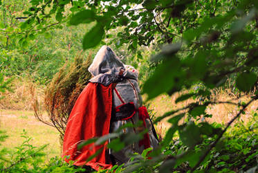 Assassins Creed Ezio Cosplay  :HIDING: