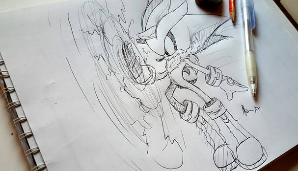 Silver the hedgehog (+ Video)