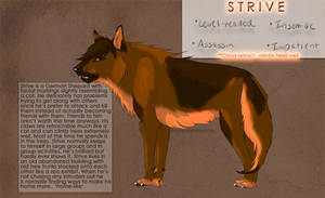 Strive Ref