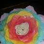 Rainbow Rose