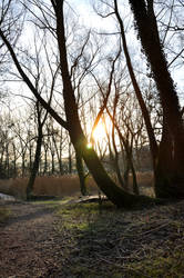 Parc de Rouelles - Normandie - FRANCE