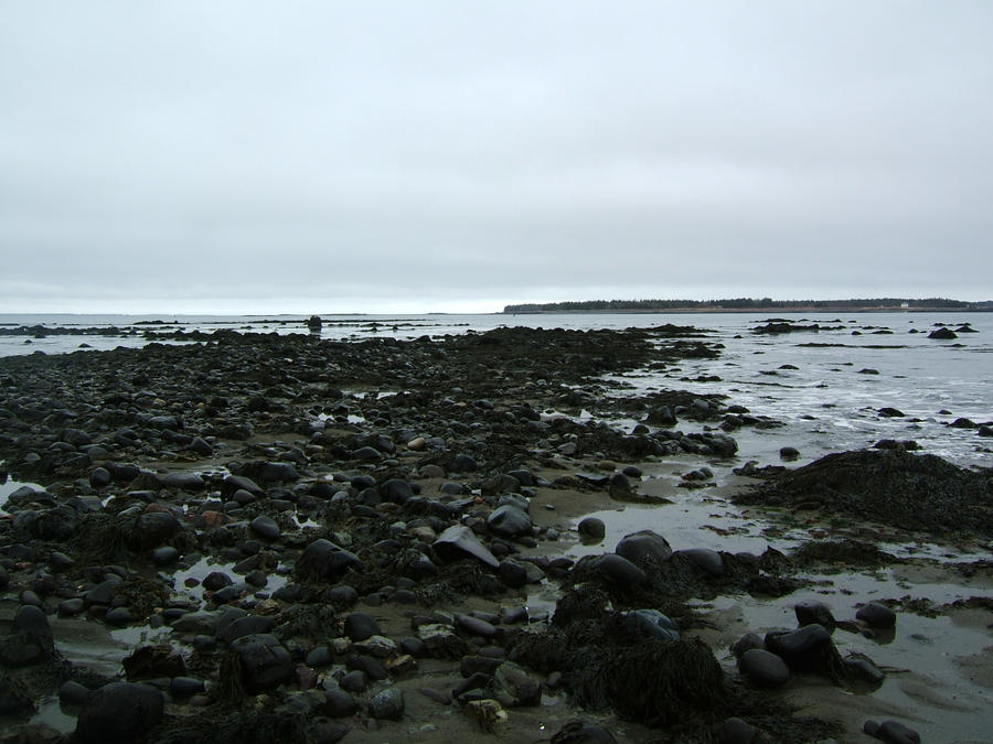 rocky beach