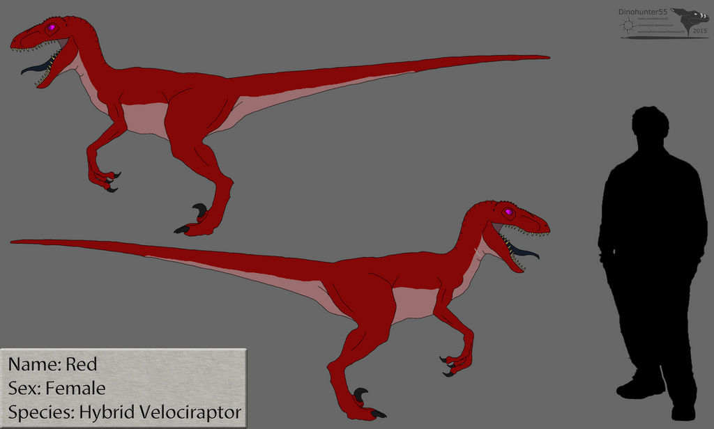 The Red Raptor by Dinohunter55 on DeviantArt