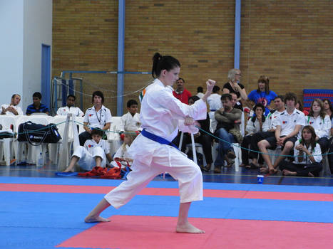 Karate Budokan World Titles 1