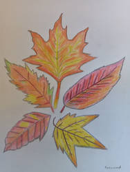 (Gift) Leaf Art