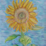 (Prize) Sunflower Field